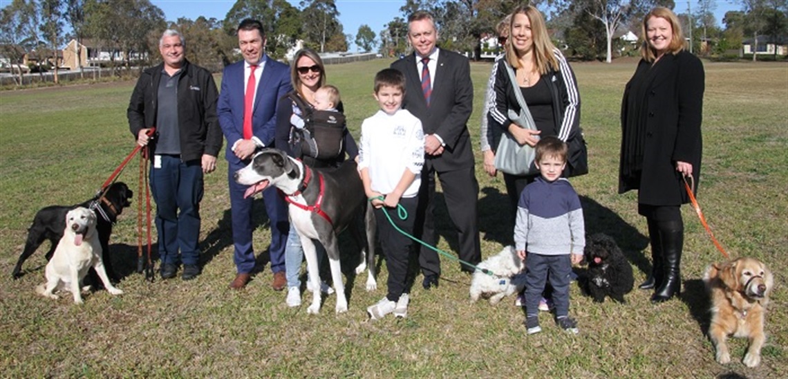 Community and their dogs at Baden Powell Reserve Dog Park