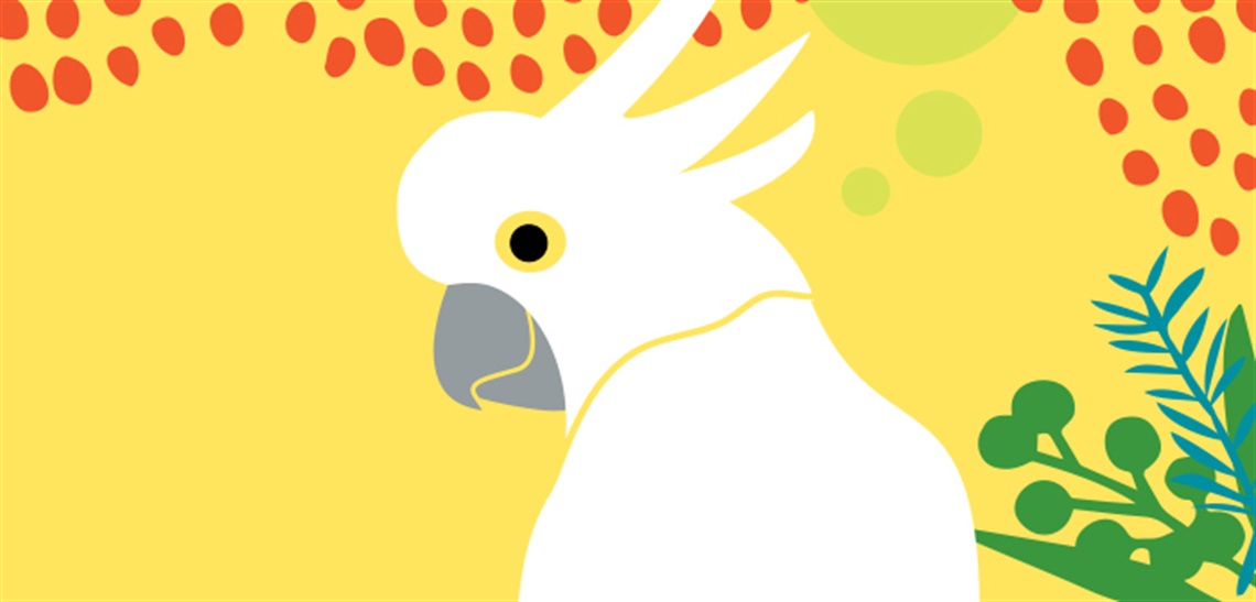 Australia Day Cockatoo image 