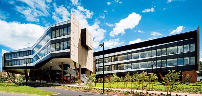 School of Medicine 