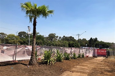 Billabong New Plantings Entry Features