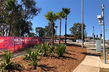 Billabong Project New Plantings Entry Feature Completed