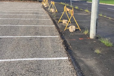 Works are underway
