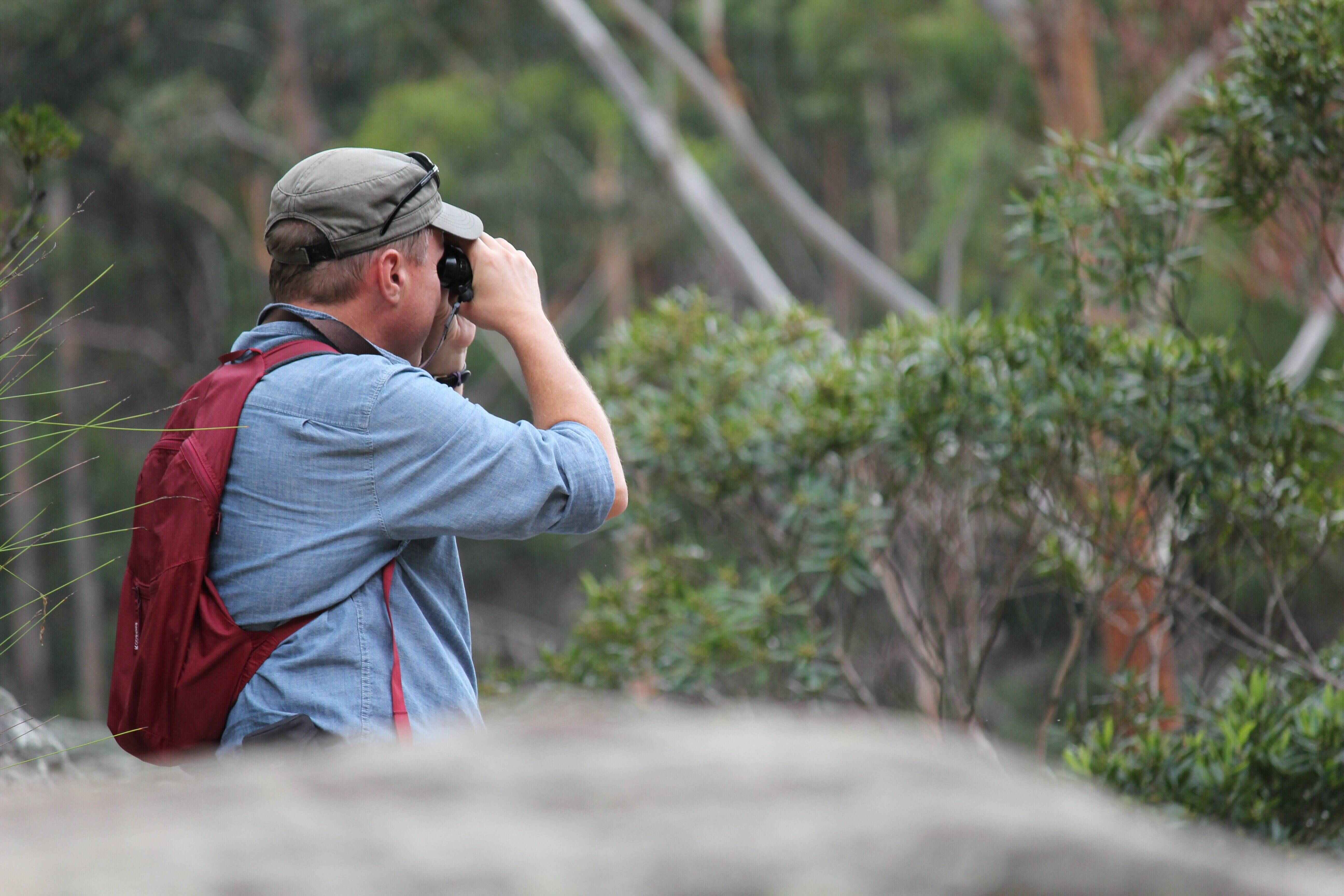 Man birdwatching with binoculars in the bush