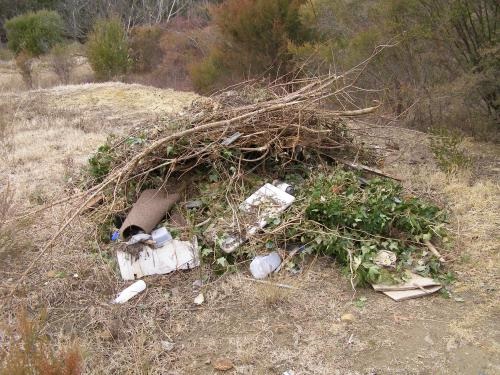 Greenwaste dumping in bushland at the Georges River Corridor, Kentlyn