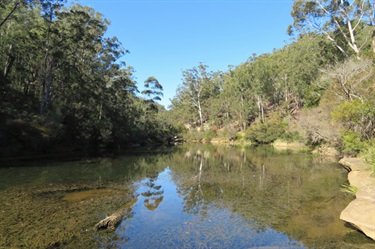 Georges River Woolwash at Airds