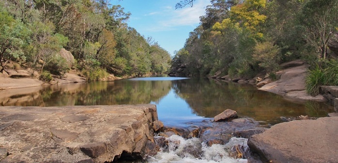 River with small waterfall. Ingleburn Weir. Photo taken by Yvonne Budd, Nature Photo Competition, 2014