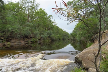 Ingleburn Reserve, follow the short trail down to the weir
