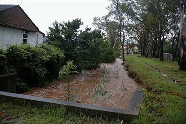 Many plant pests and their seeds get passed downstream