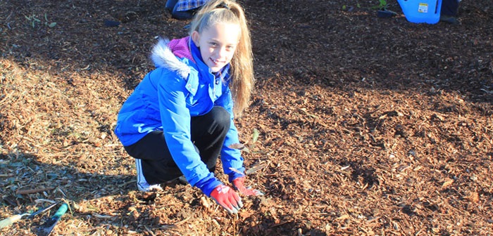 Young girl planting a tree