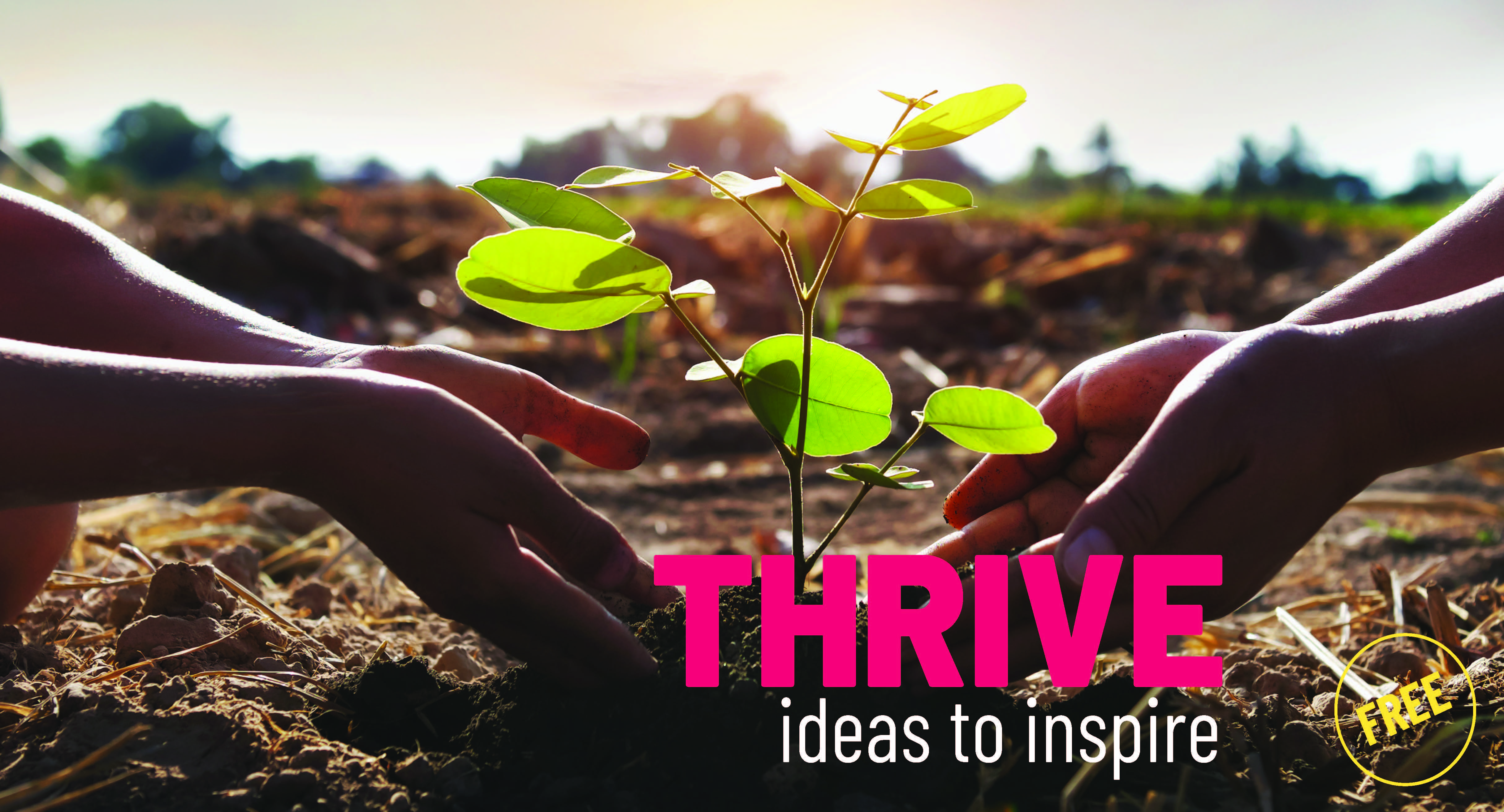 Thrive Landing Page