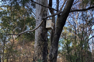 Loftus Reserve Small nest box installed for fauna
