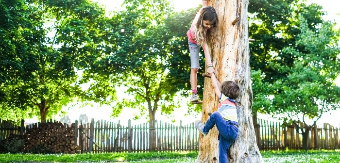 two children climbing a tree, one helping the other up