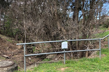 Loftus Reserve Post primary weed control in October 2019