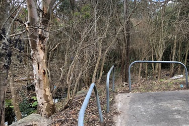 Trinervis Way Post primary weed control in October 2019