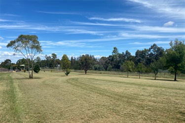 Byrne Reserve Grassed area