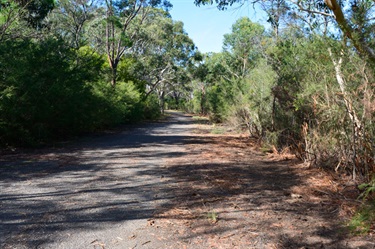 Trails of varying degrees of difficulty and length