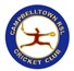 Campbelltown RSL Cricket Club logo