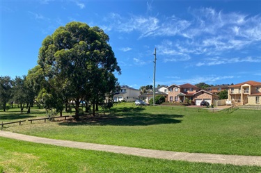 Eagle Farm Reserve Grass