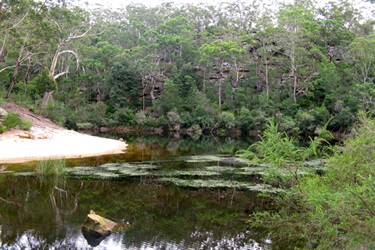 This peaceful oasis is a perfect place to dip your toes in