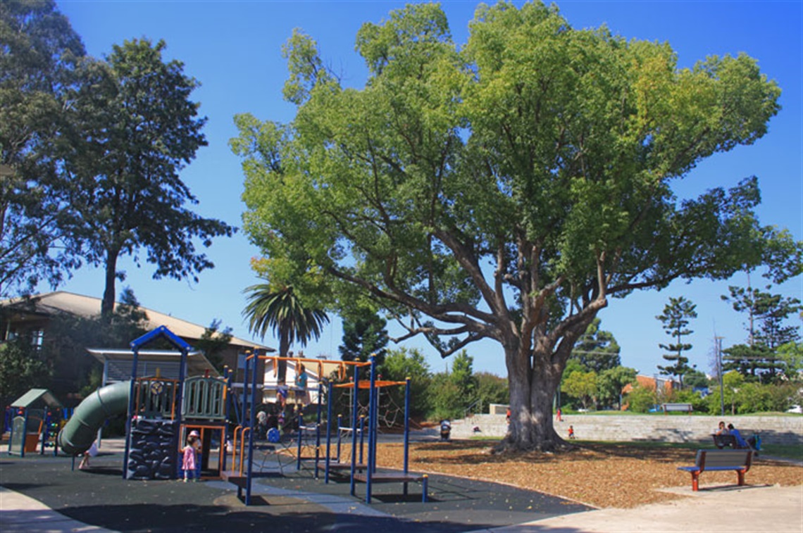 Hallinan Park Playground