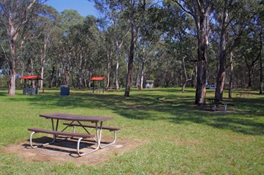 Plenty of picnic tables and bbqs can be found at the top of the reserve