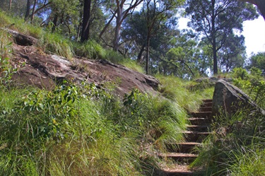 The trail cuts through stunning bushland