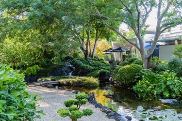 The gardens are right next door to the Campbelltown Arts Centre