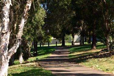 The cycleway encircles the lake, making for a pleasant bike ride or walk
