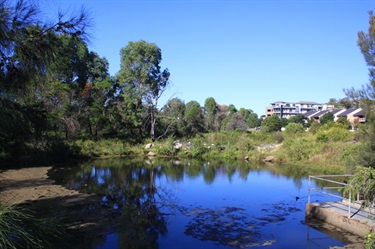 These ponds and pools are home to many bird species