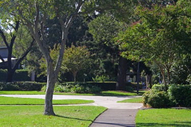 The cycleway is great for a scenic bike ride or stroll through gardens