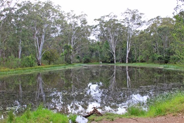 You'll find a large lake in the heart of Noorumba