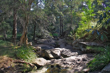 Walk along streams right off the cycleway
