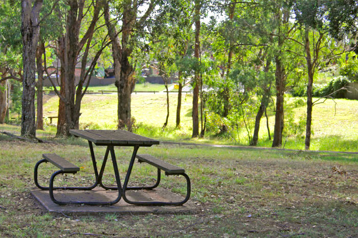 Stop for a picnic at one of the tables dotted throughout the reserve