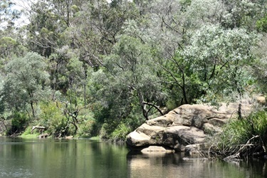 Georges River runs through the reserve