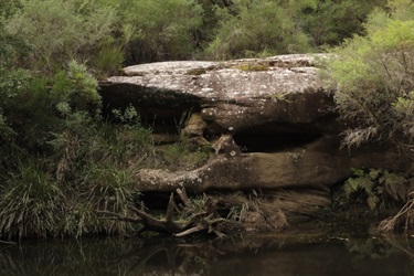 There's plenty of interesting and dramatic views along the trails