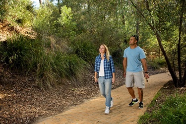 There are paved pathways suited to wheelchairs and bicycles