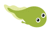 tadpole