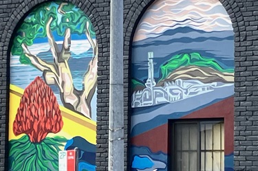 Ingleburn Mural by Luke Tekn