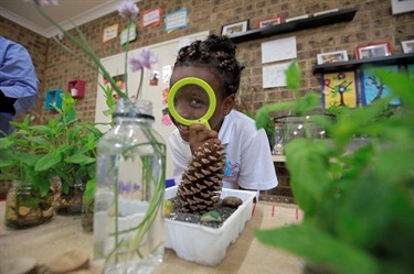 Girl learning more about plants