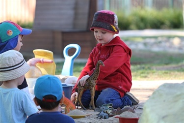 Boy playing with giraffes