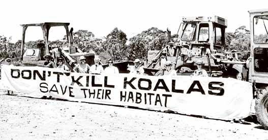 Koala Protest