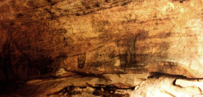 Bull Cave sketch of one of the original herd which became lost