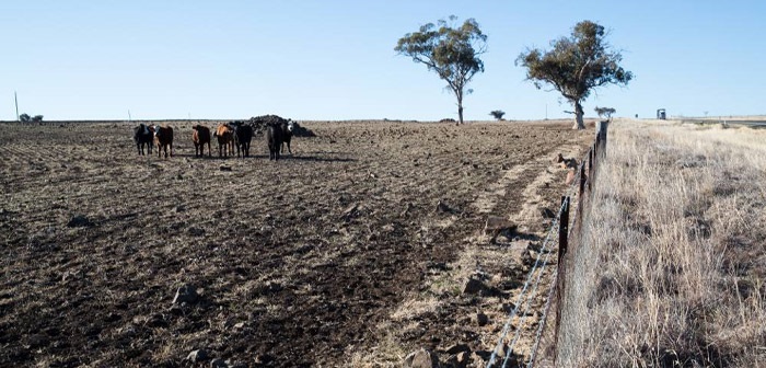 Coonamble Drought