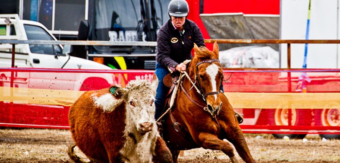 Coonamble Rodeo Draft