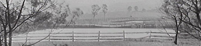 Hurley Park, the site of the historic Cattle Tank Water Reservoir