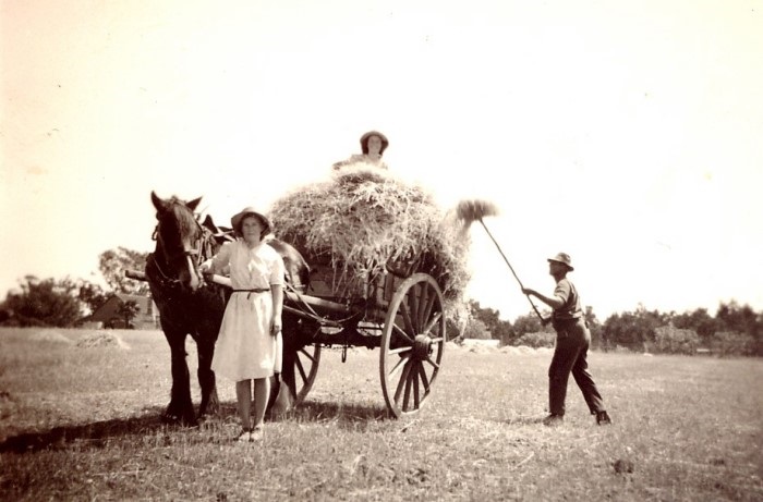 People working on their farm