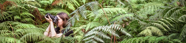 Macarthur Nature Photography Competition Fifty Shades of Green, photo by Bron King