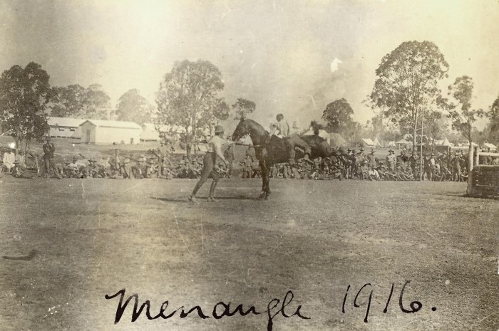A man breaking in a horse at Menangle in 1916