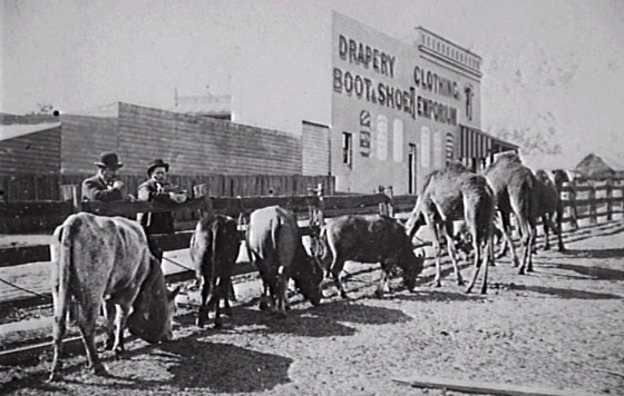 Patrick Street with Reeves emporium in the background. CAHS