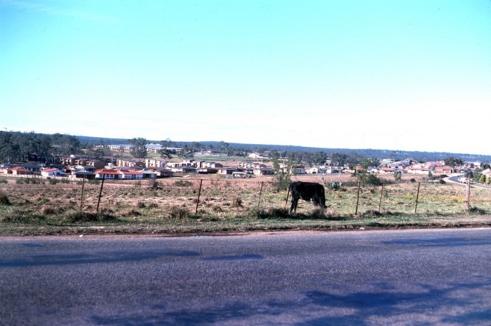 A view of Airds from open fields across to new development